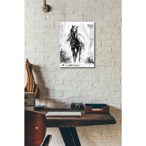 Image of 'Rustic Stallion II' by Ethan Harper Canvas Wall Art,12 x 16