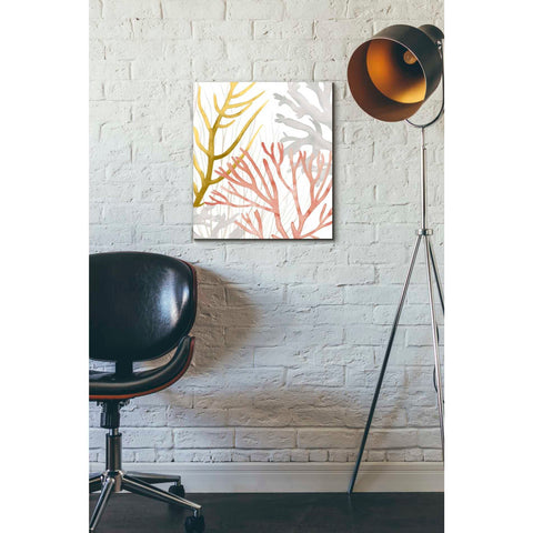 Image of 'Desert Coral II' by Grace Popp Canvas Wall Art,12 x 16