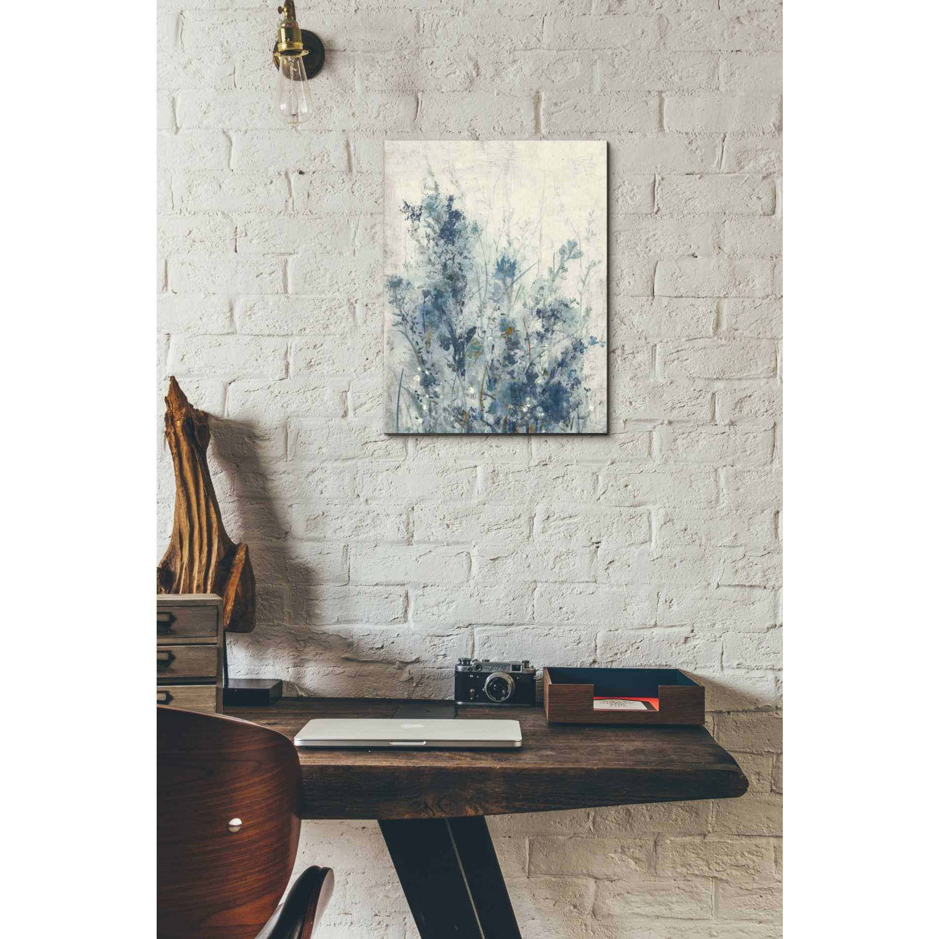 'Blue Spring I' by Tim OToole Canvas Wall Art,12 x 16