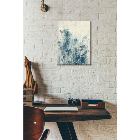 Image of 'Blue Spring I' by Tim OToole Canvas Wall Art,12 x 16