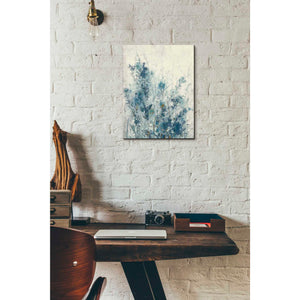 'Blue Spring I' by Tim OToole Canvas Wall Art,12 x 16