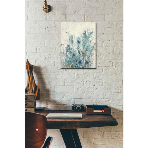 Image of 'Blue Spring II' by Tim OToole Canvas Wall Art,12 x 16