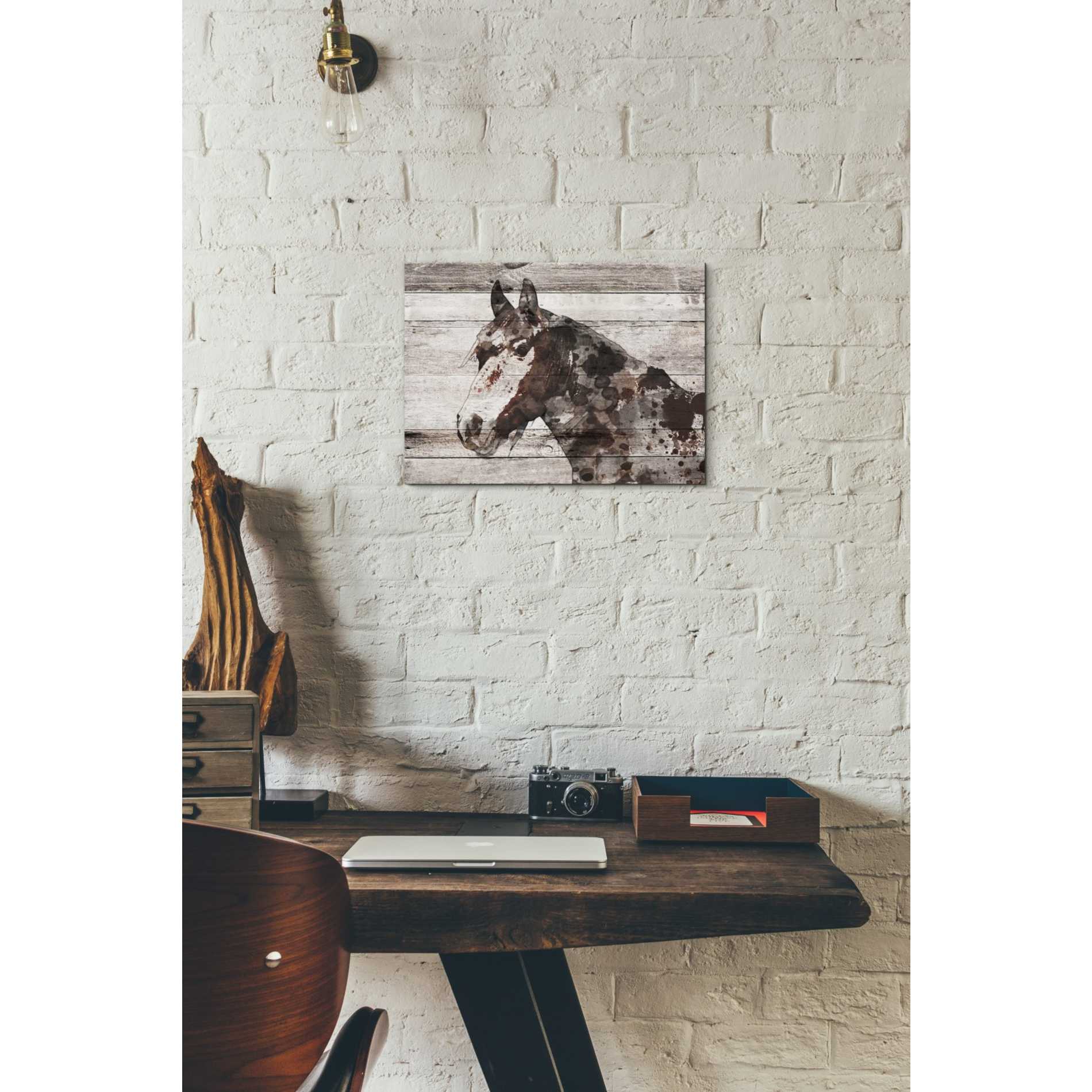 'Jalisco Horse' by Irena Orlov, Canvas Wall Art,16 x 12