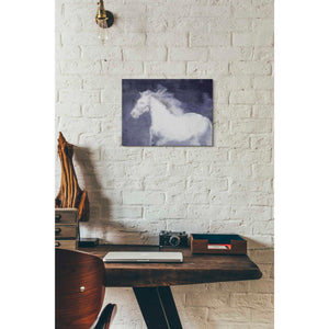 'White Running Horse In The Fog Mist 1' by Irena Orlov, Canvas Wall Art,16 x 12