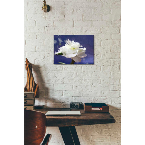 Image of 'White Peony-Scents of Heaven' by Irena Orlov, Canvas Wall Art,16 x 12