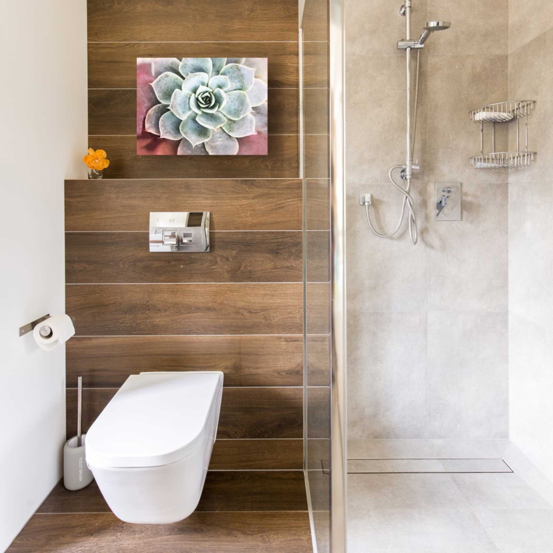 'Succulent Garden' by Irena Orlov, Canvas Wall Art,16 x 12