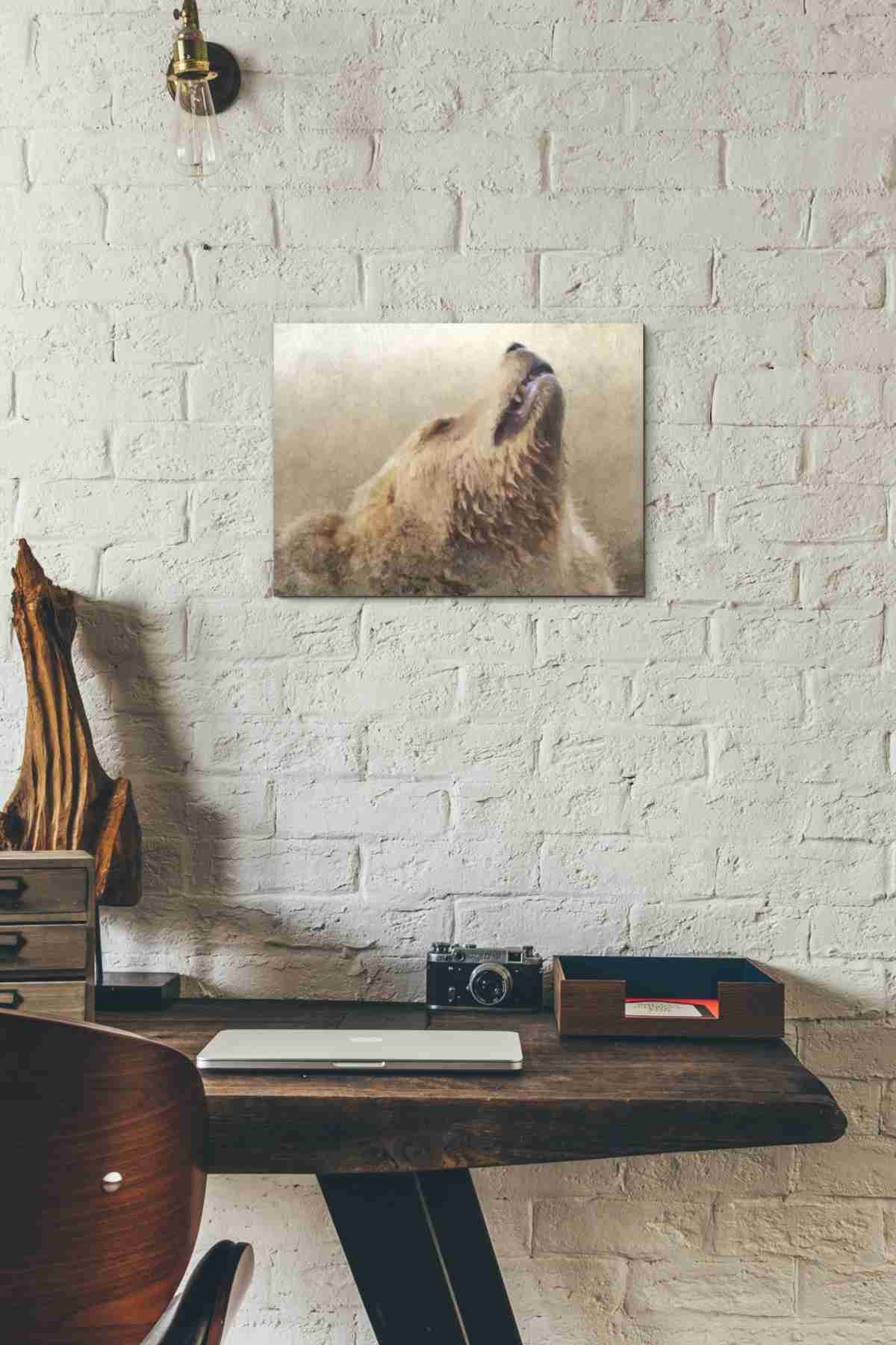 'Big Bear 1' by Karen Smith, Canvas Wall Art,16x12