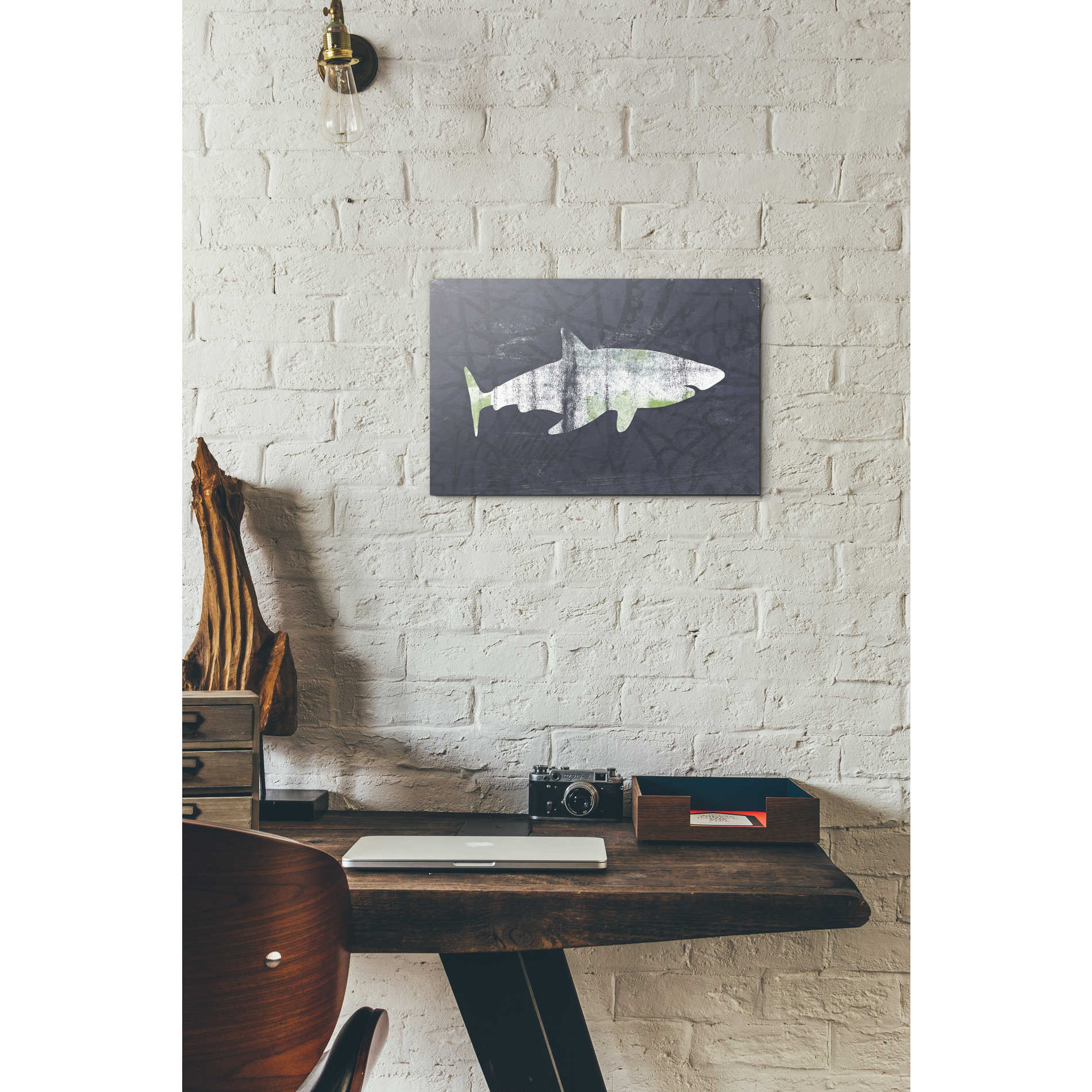 'Shark I' by Linda Woods, Canvas Wall Art,12 x 18