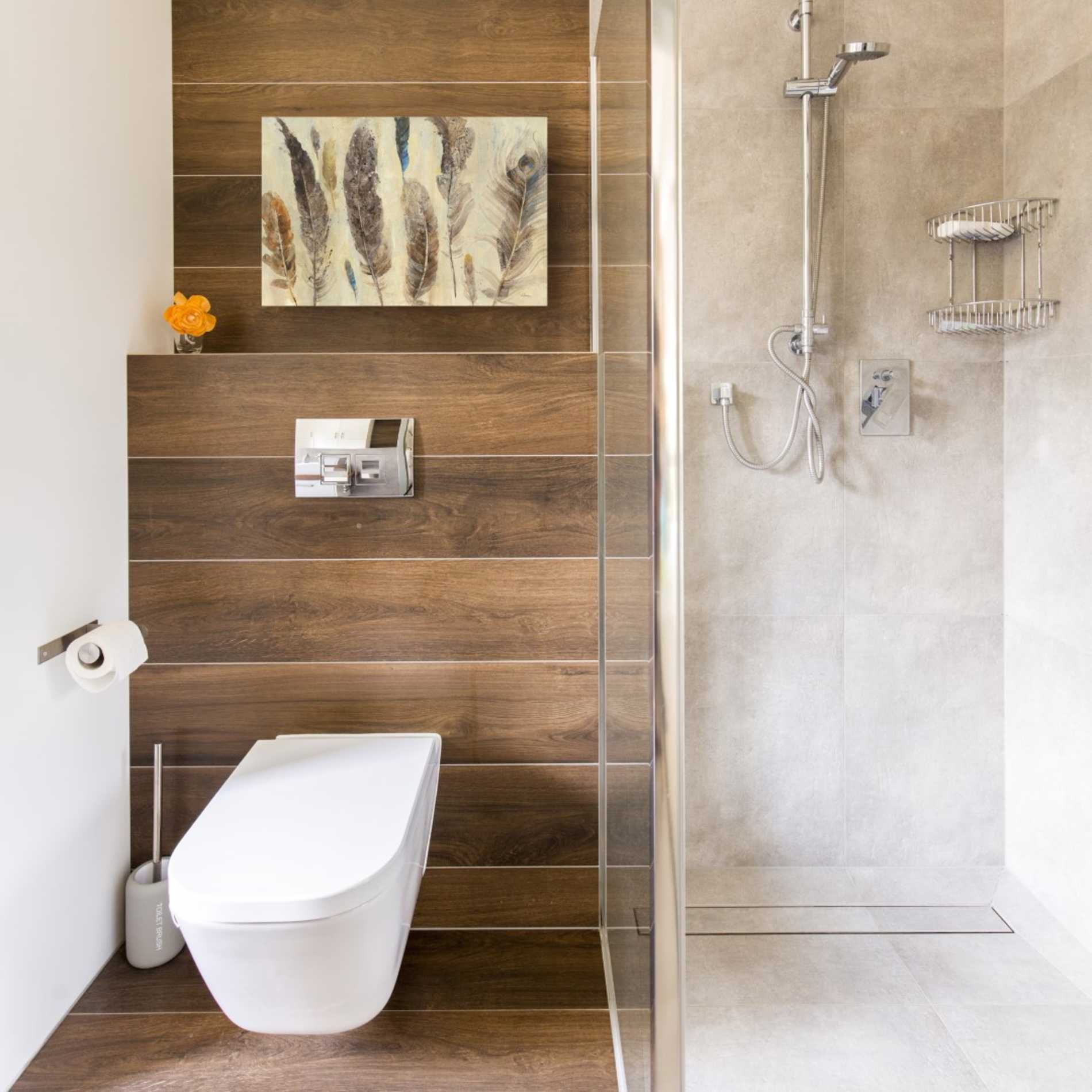 'Feather Study' by Albena Hristova, Canvas Wall Art,18 x 12