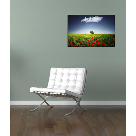 Image of 'Lone Tree in a Poppy Field' Canvas Wall Art,12 x 18