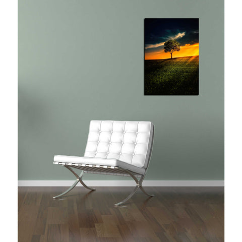 Image of 'Alone In Peace' Canvas Wall Art,12 x 18