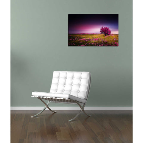 Image of 'Pink Nights' Canvas Wall Art,12 x 18