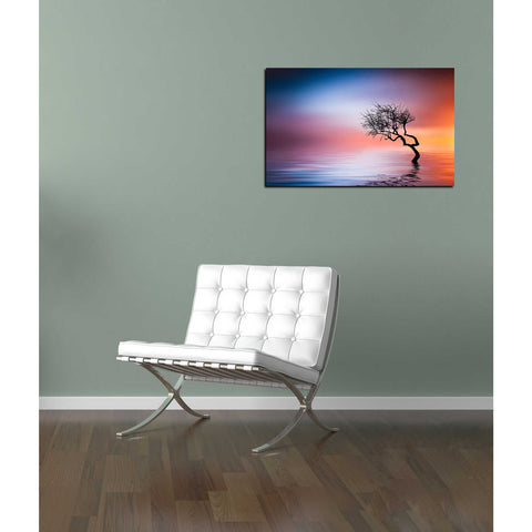 Image of 'Growing Reflections' Canvas Wall Art,12 x 18