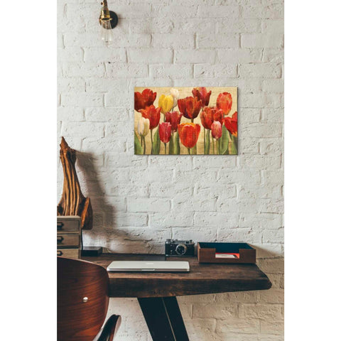 Image of 'Tulip Fantasy on Cream' by Marilyn Hageman, Canvas Wall Art,18 x 12