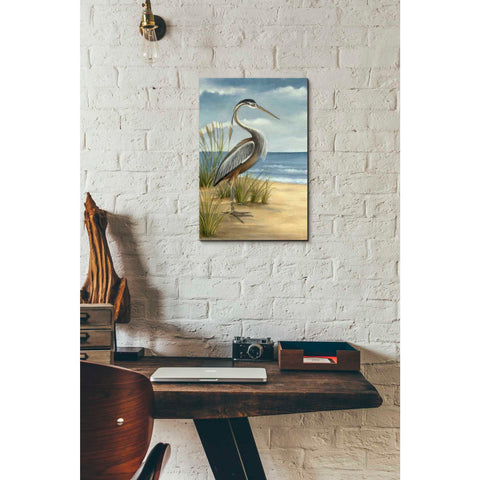 Image of 'Shore Bird I' by Ethan Harper Canvas Wall Art,12 x 18