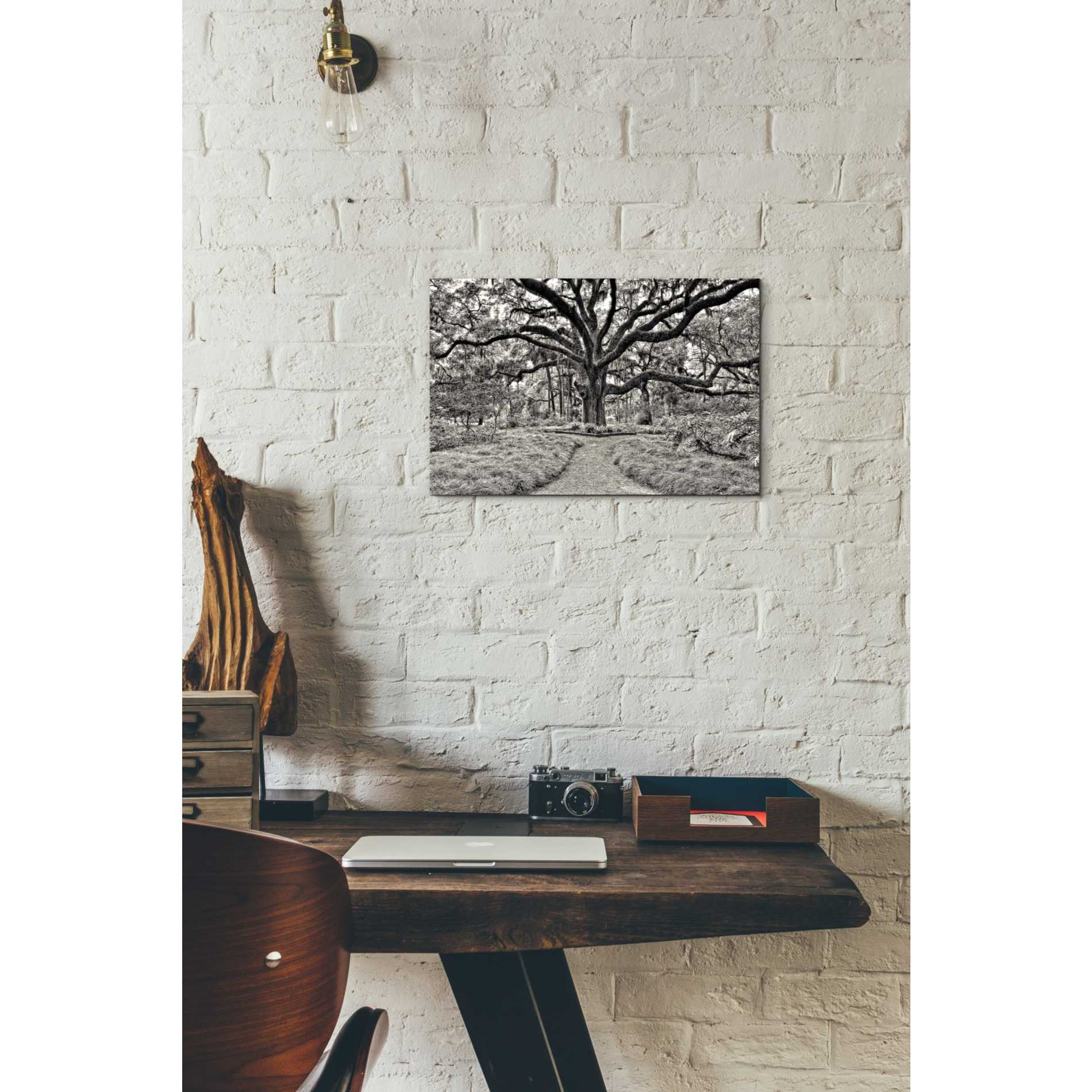 'Florida Tree' by PH  Burchett Giclee Canvas Wall Art