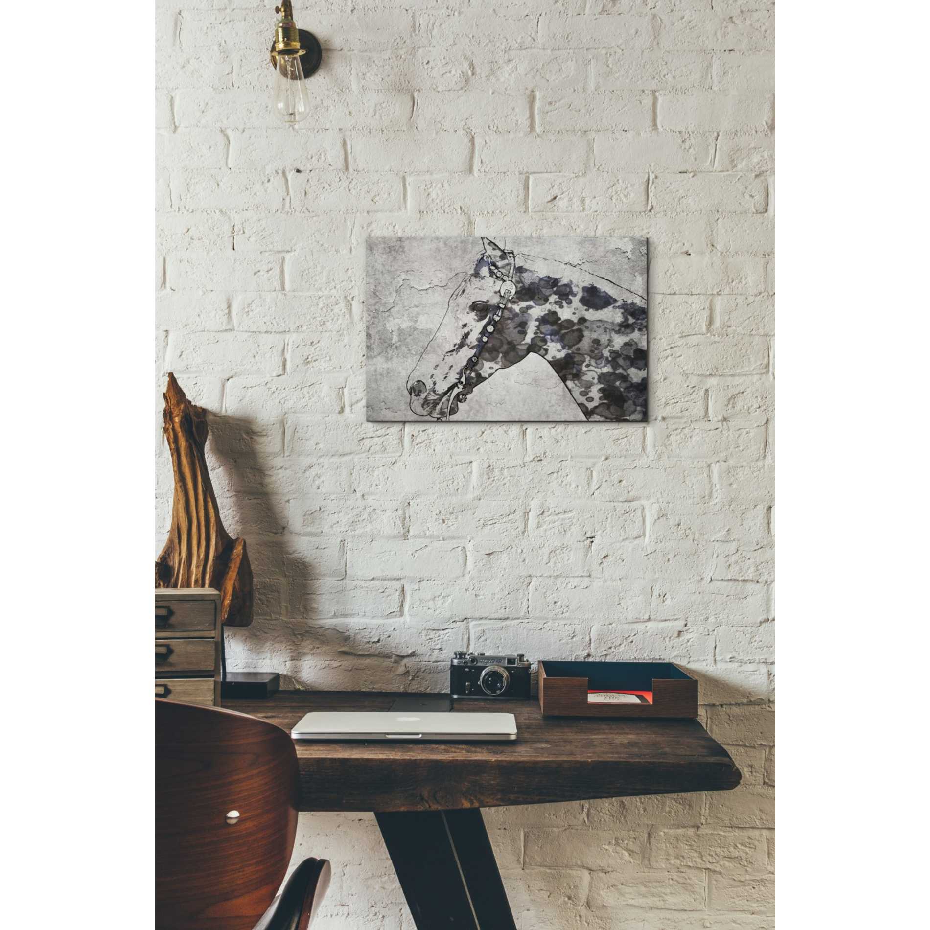 'Black Ghost Horse 2' by Irena Orlov, Canvas Wall Art,18 x 12