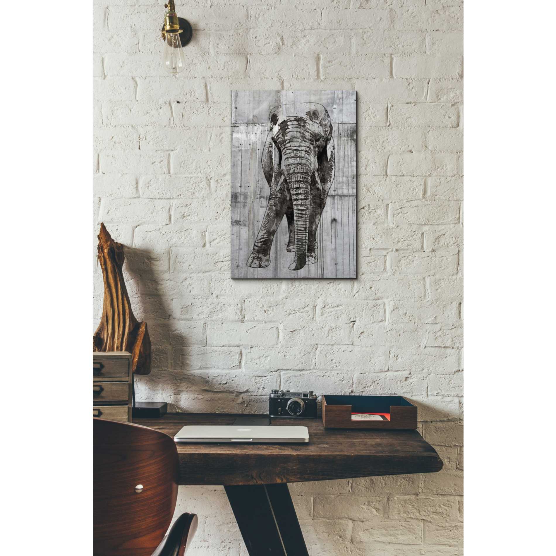 'ELEPHANT Portrait' by Irena Orlov, Canvas Wall Art,12 x 18