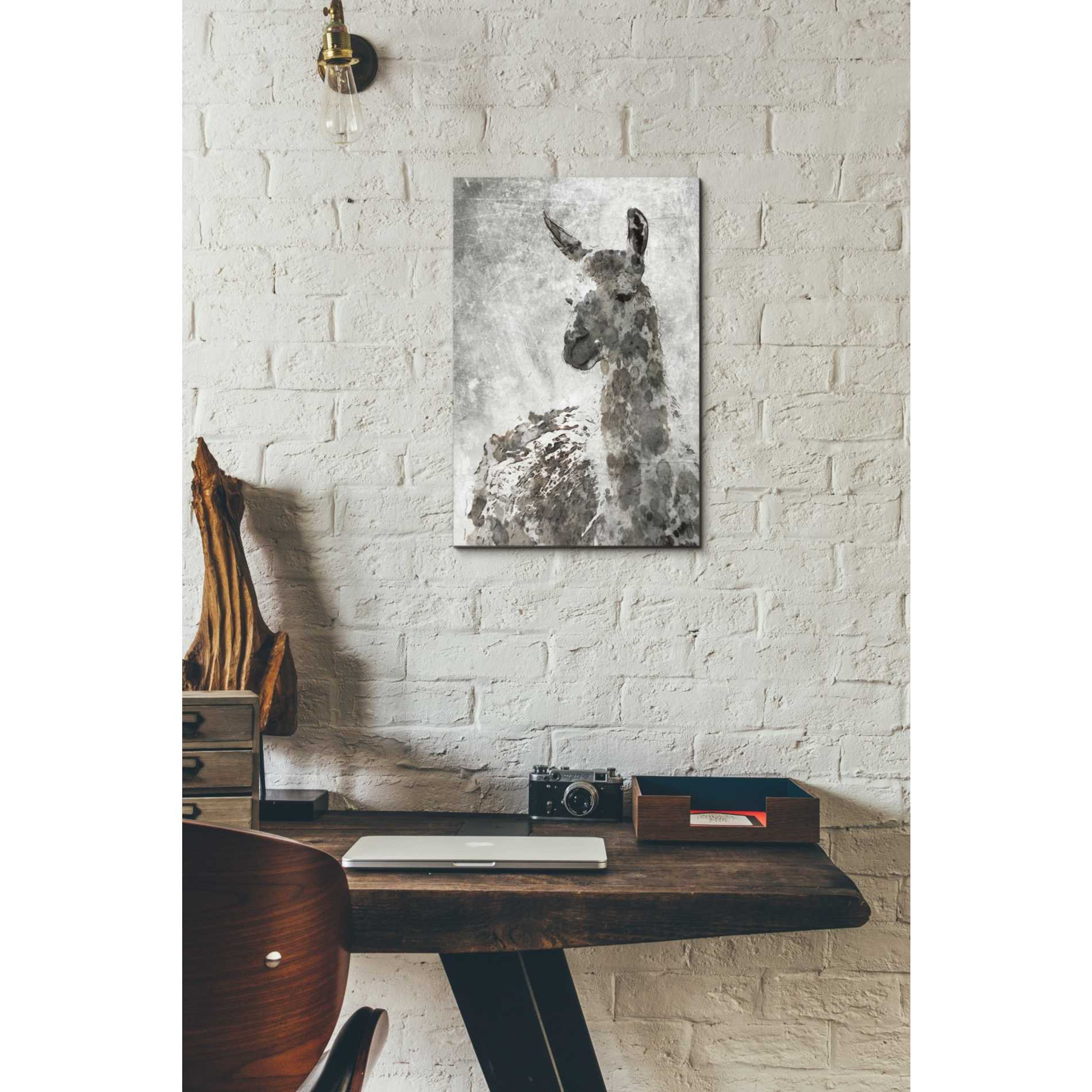 'Llama' by Irena Orlov, Canvas Wall Art,12 x 18