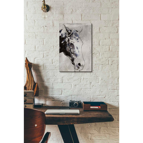 Image of 'Morgan Horse-Black Beauty' by Irena Orlov, Canvas Wall Art,12 x 18