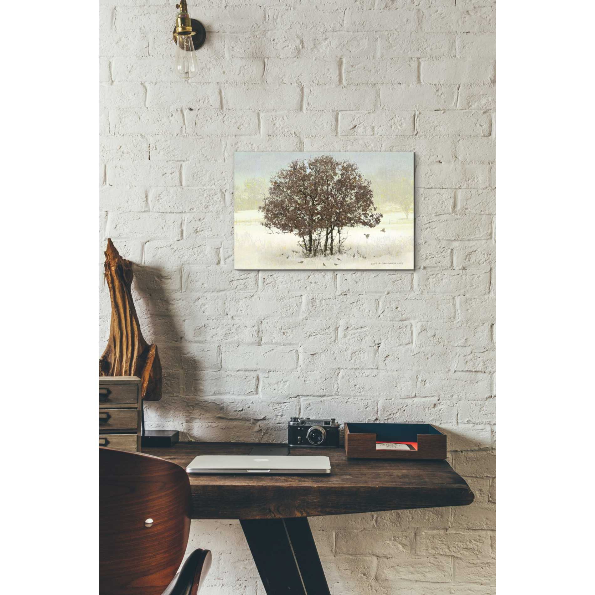 'Juncos and Oak' by Chris Vest, Giclee Canvas Wall Art