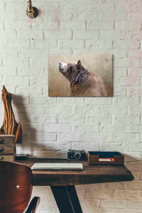 'Big Bear' by Karen Smith, Canvas Wall Art,18x12