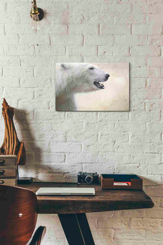 Image of 'Polar' by Karen Smith, Canvas Wall Art,18x12