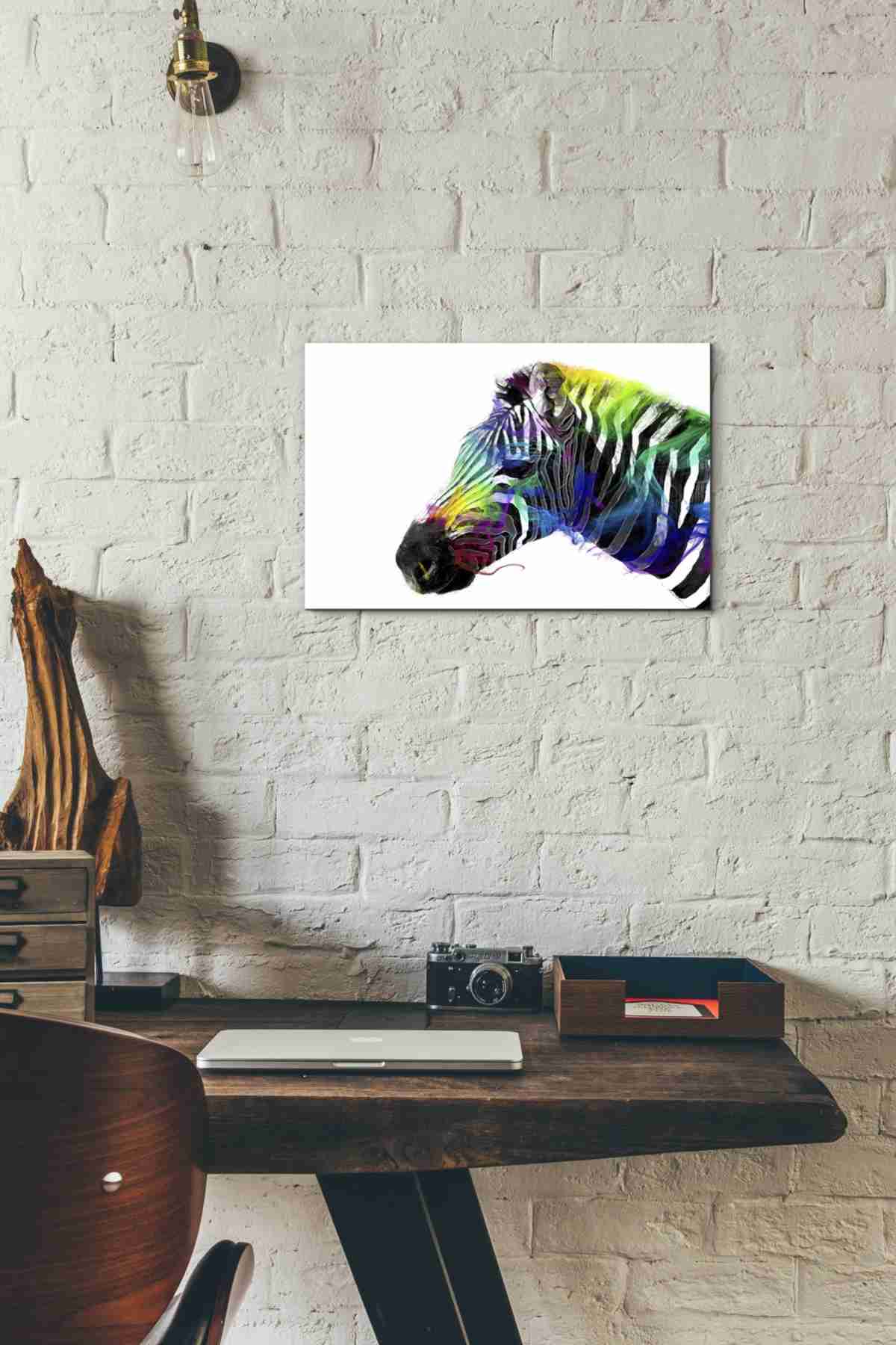'Zebra' by Karen Smith, Canvas Wall Art,18x12