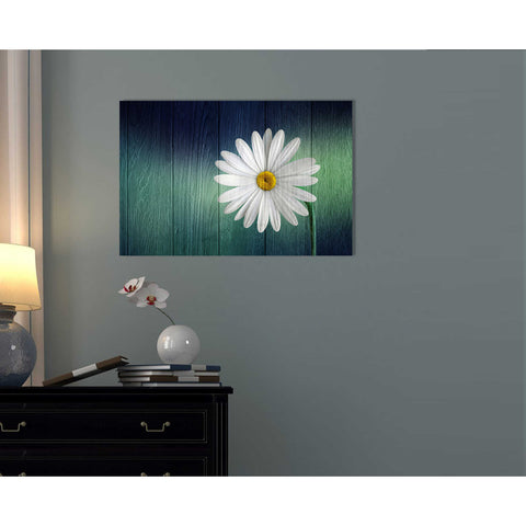 Image of 'Wood Series: A Daisy' Canvas Wall Art,12 x 18