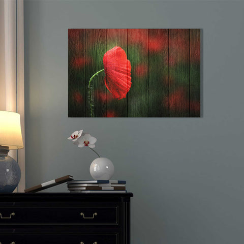 Image of 'Wood Series: A Red Poppy' Canvas Wall Art,12 x 18