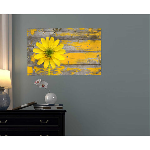 Image of 'Wood Series: Rustic Daisy' Canvas Wall Art,12 x 18