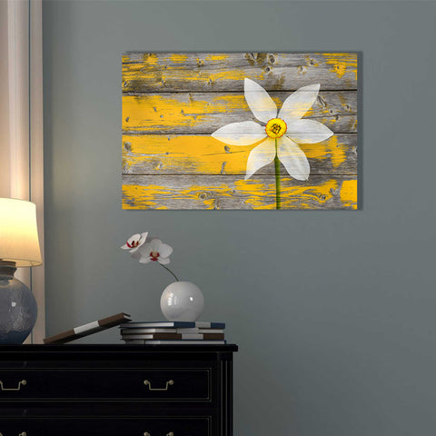 Image of 'Wood Series: A Rustic Paradise' Canvas Wall Art,12 x 18