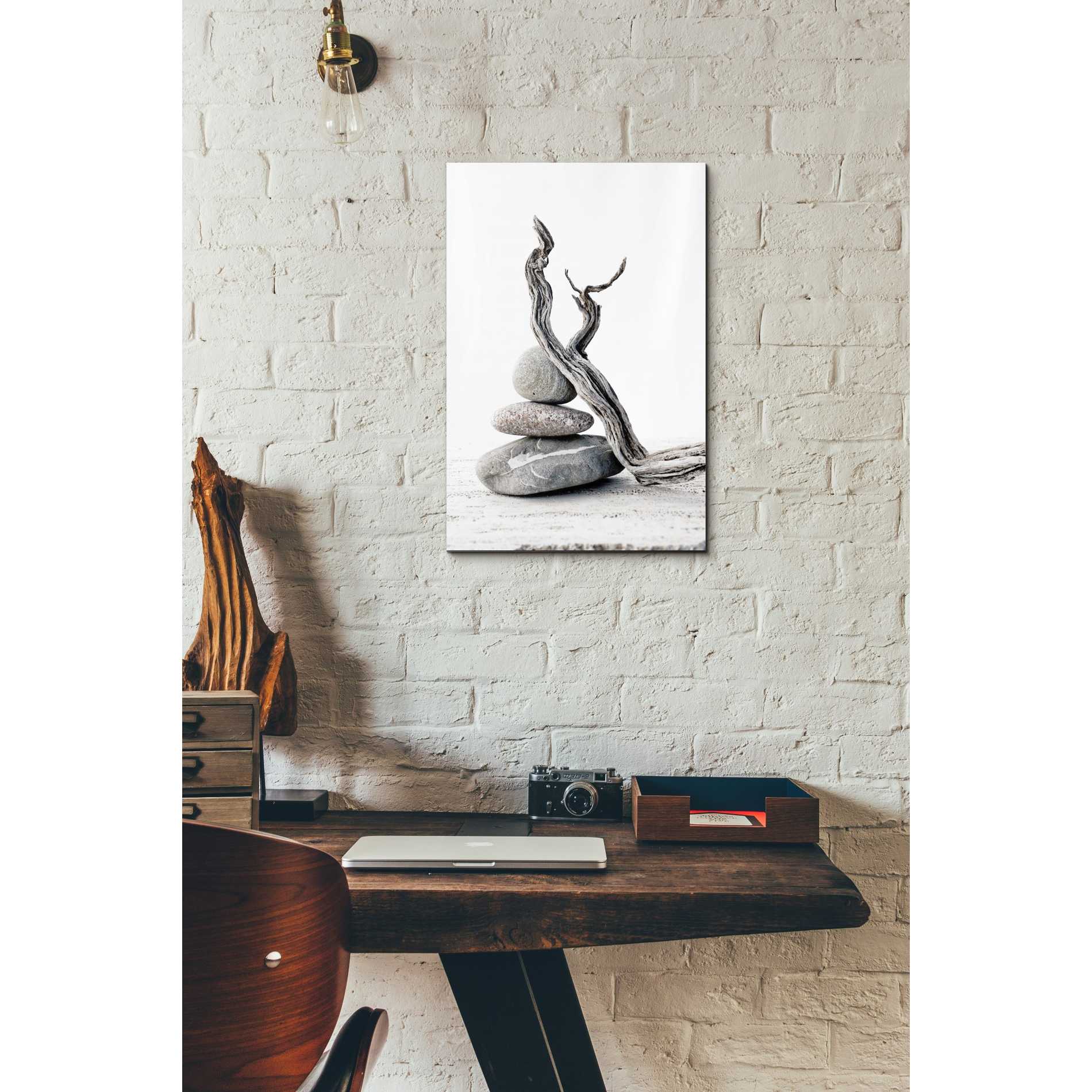 'Elemental Zen' by Elena Ray Canvas Wall Art,12 x 18