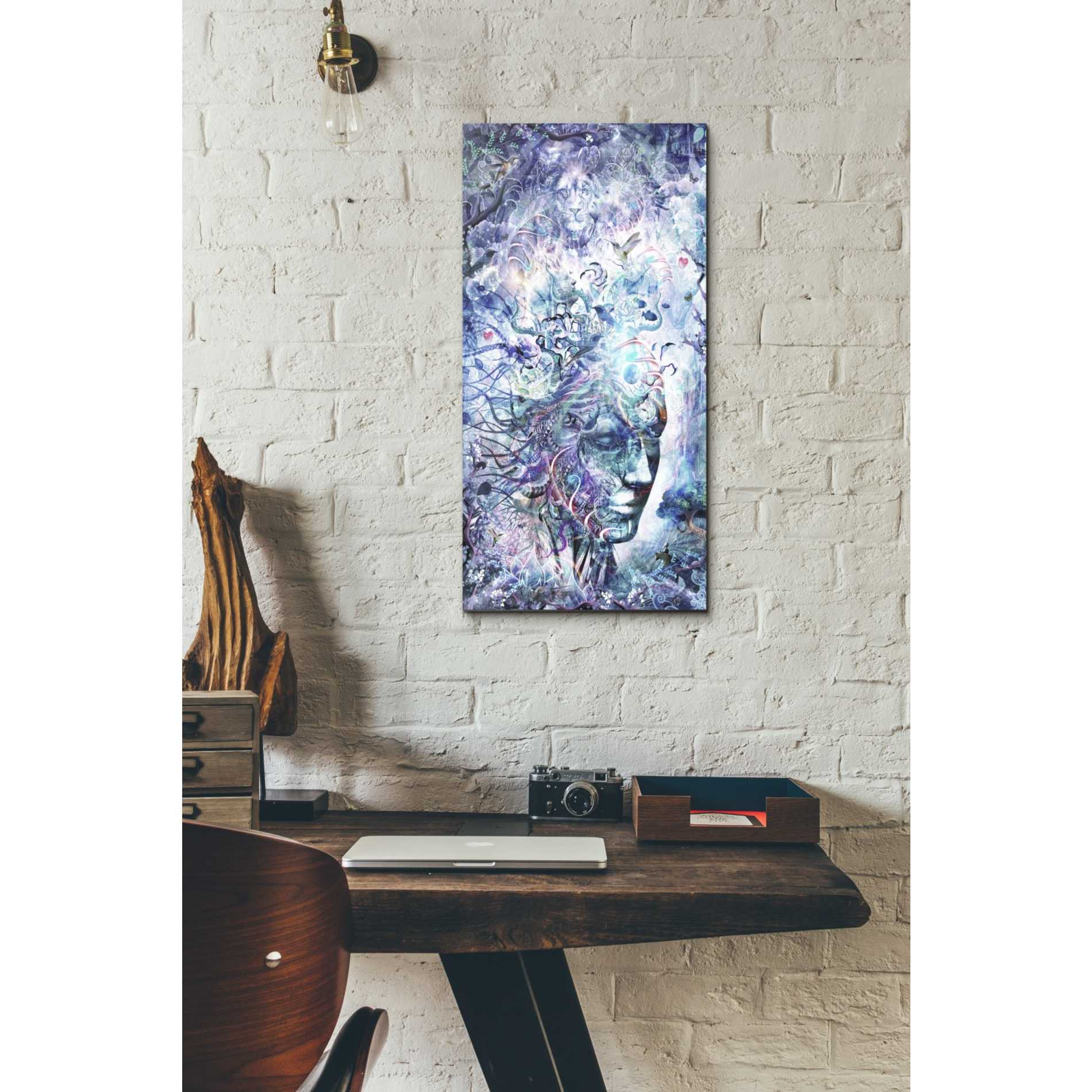 'Dreams of Unity' by Cameron Gray, Canvas Wall Art,12 x 24