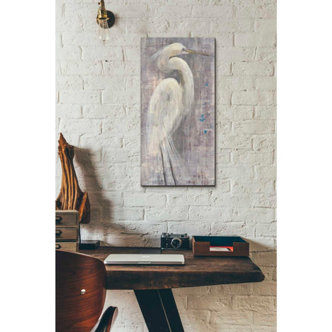 Image of 'Coastal Egret I Legs' by Albena Hristova, Canvas Wall Art,12 x 24