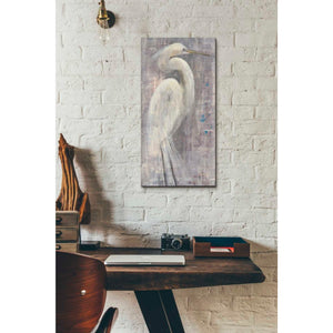 'Coastal Egret I Legs' by Albena Hristova, Canvas Wall Art,12 x 24