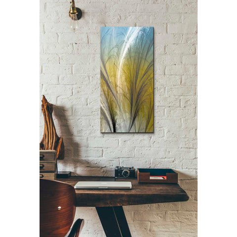 Image of 'Fountain Grass III' by James Burghardt Giclee Canvas Wall Art