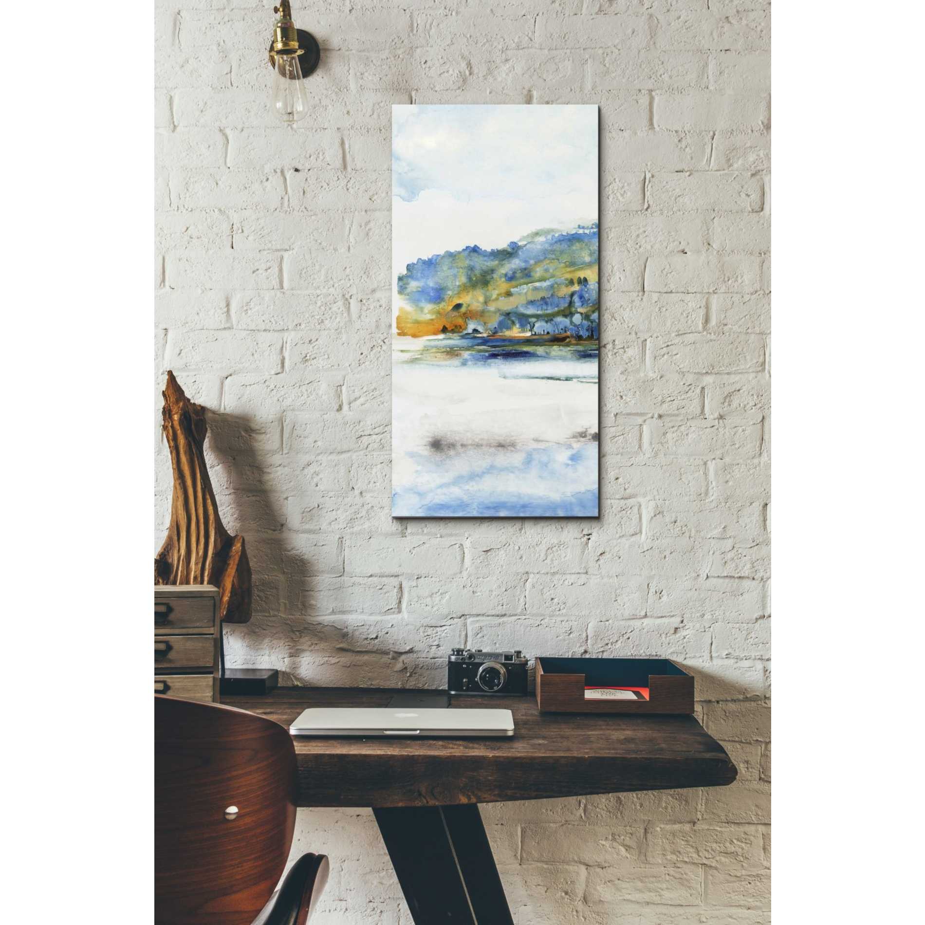 'Island Mist I' by Tim O'Toole Canvas Wall Art,12 x 24