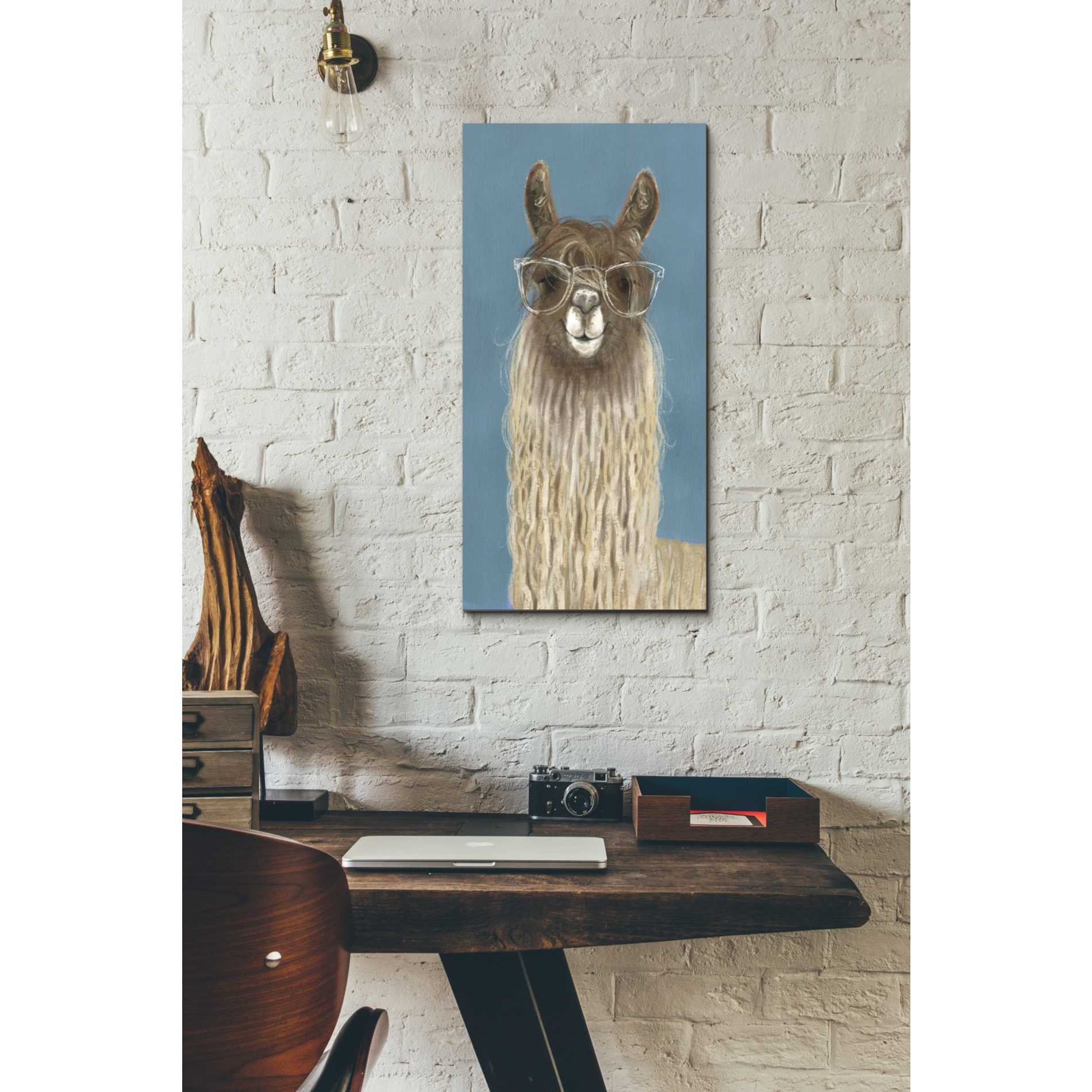 'Llama Specs IV' by Victoria Borges Canvas Wall Art,12 x 24