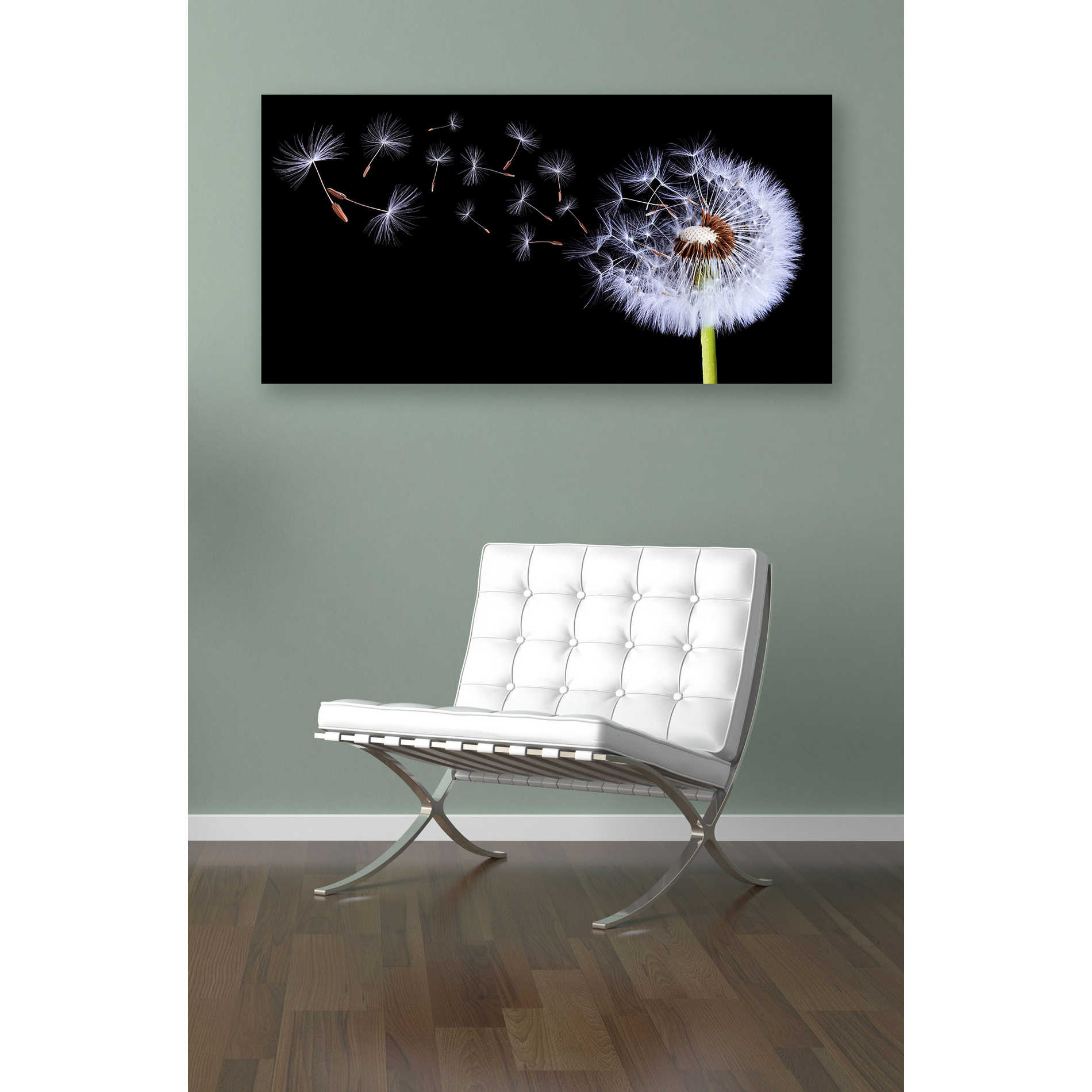 'Flying Dandelion' Canvas Wall Art,12 x 24