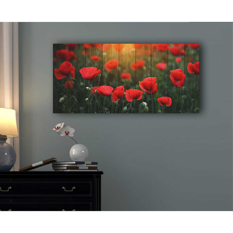 Image of 'Wood Series: Field of Poppies' Canvas Wall Art,12 x 24
