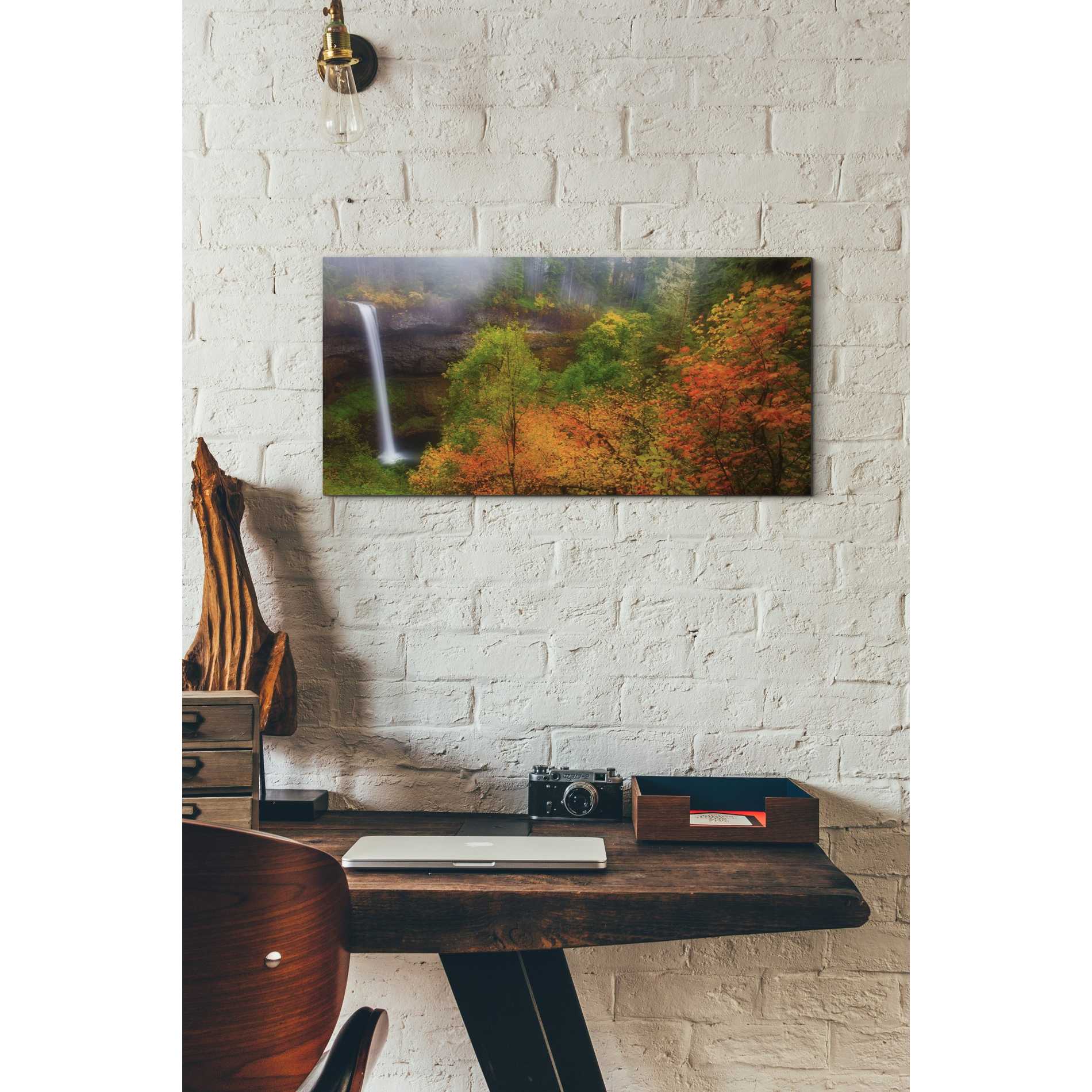 'Silver Falls' by Darren White, Canvas Wall Art,12 x 24