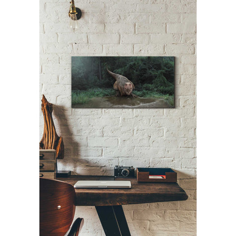 Image of 'Watering Hole' Canvas Wall Art,12 x 24