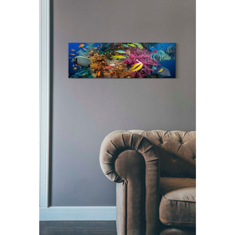Image of 'Passage to Sea' Canvas Wall Art,12 x 36