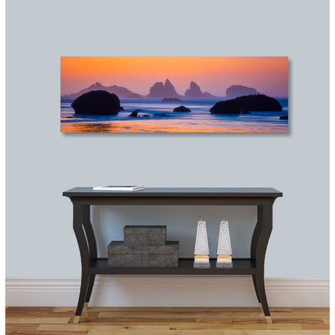 Image of 'Final Moments' by Darren White, Canvas Wall Art,12 x 36