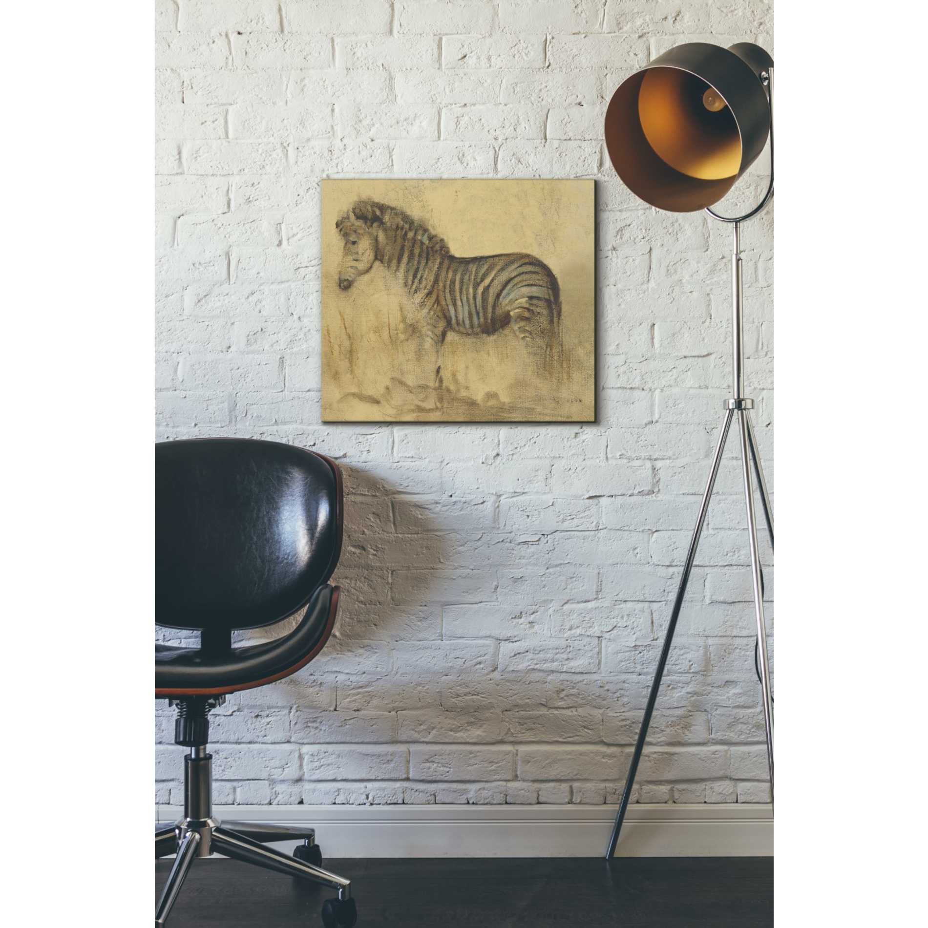 'Global Zebra Light Crop' by Cheri Blum, Canvas Wall Art,16 x 18