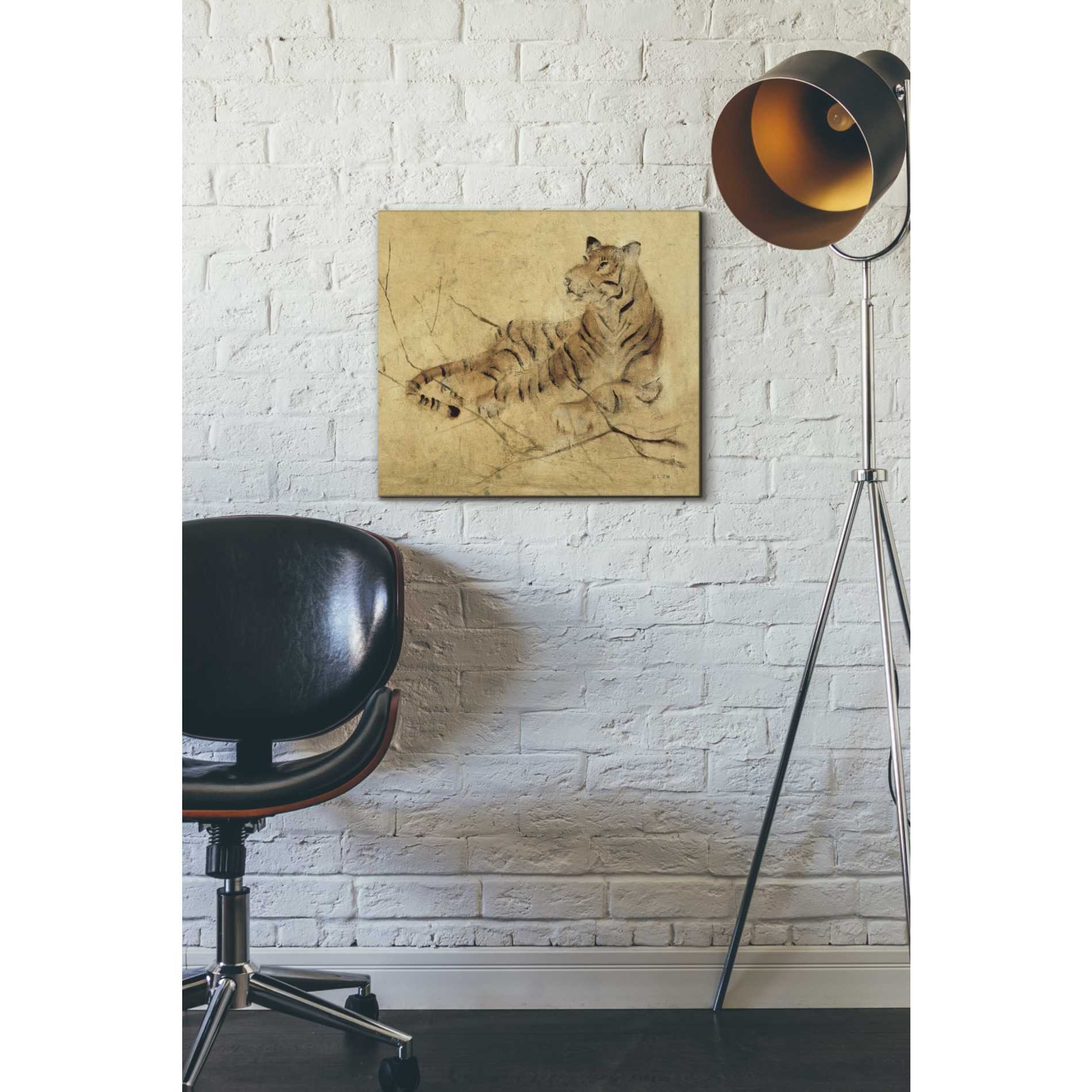 'Global Tiger Light Crop' by Cheri Blum, Canvas Wall Art,16 x 18