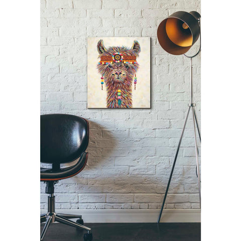 Image of 'Hippie Llama II' by Carolee Vitaletti Canvas Wall Art,16 x 18