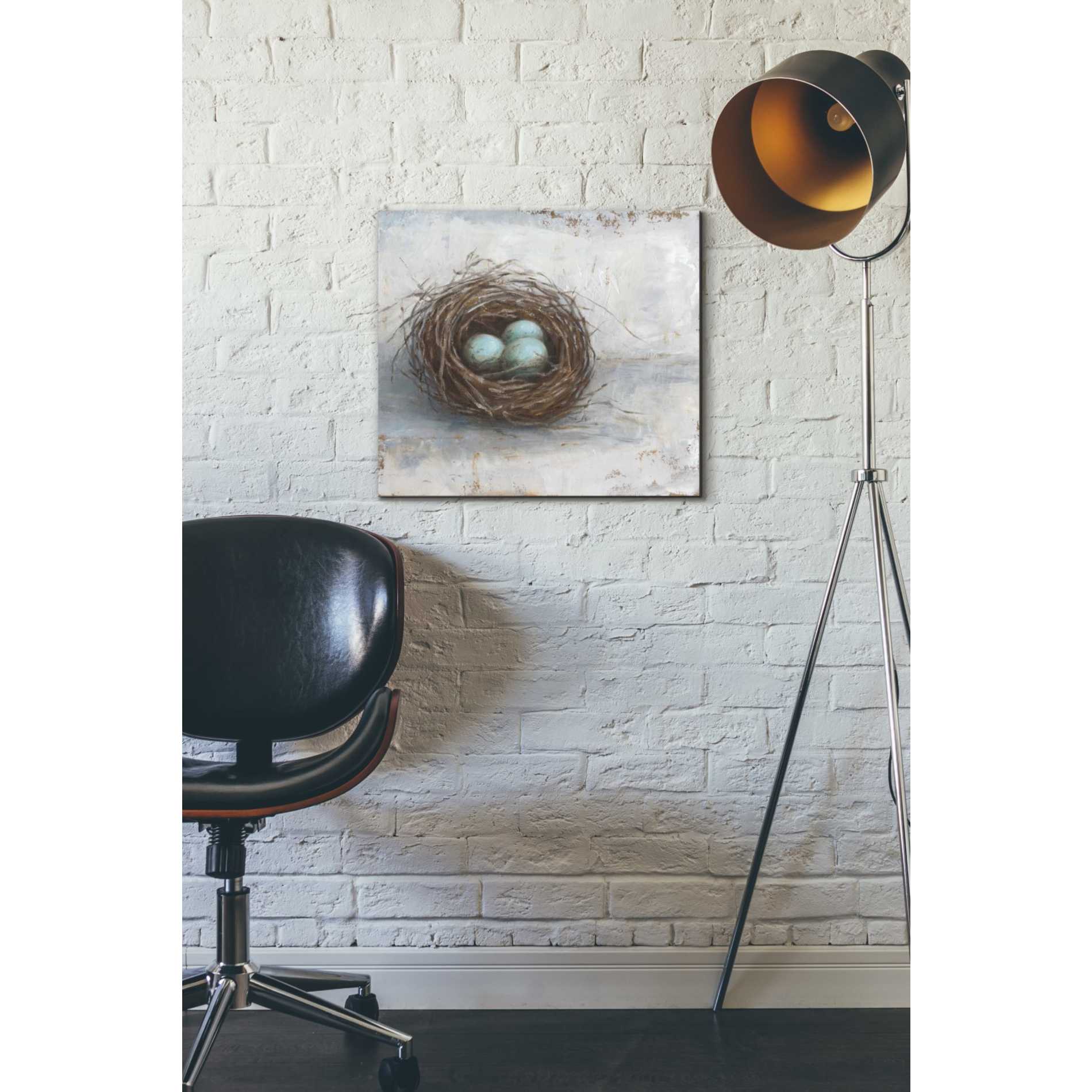 'Rustic Bird Nest I' by Ethan Harper Canvas Wall Art,18 x 16