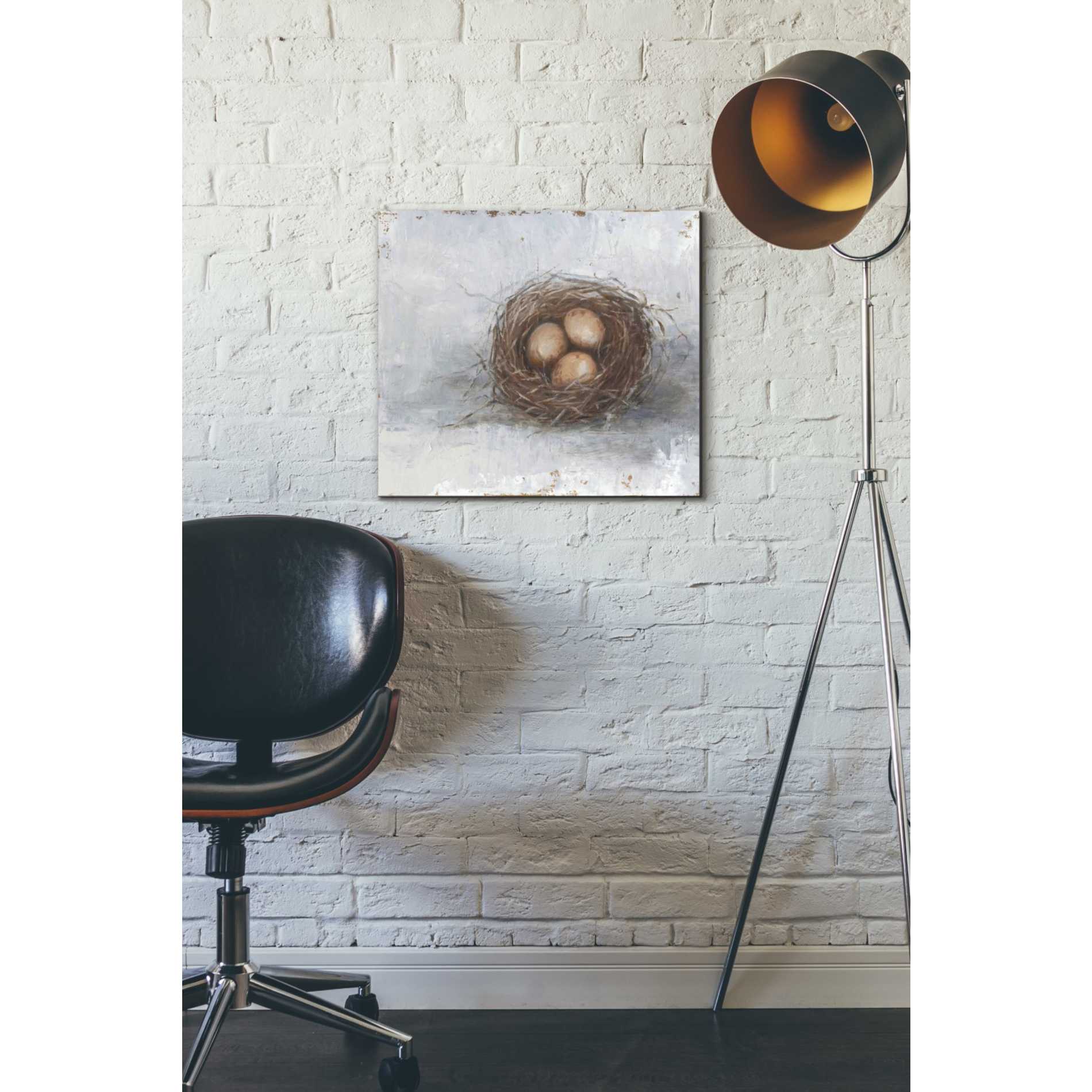 'Rustic Bird Nest II' by Ethan Harper Canvas Wall Art,18 x 16